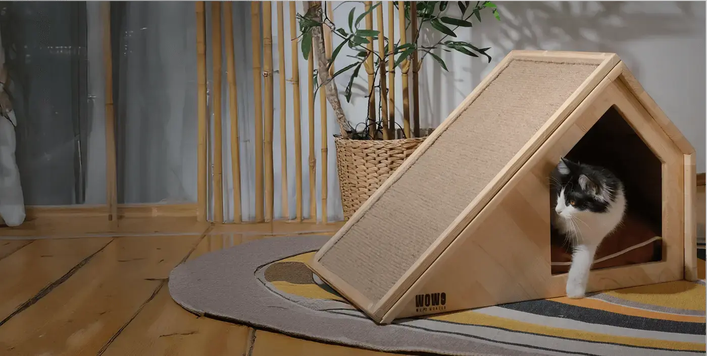 Hastane operasyon ekibi